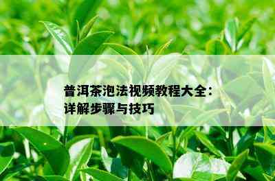 普洱茶泡法视频教程大全：详解步骤与技巧