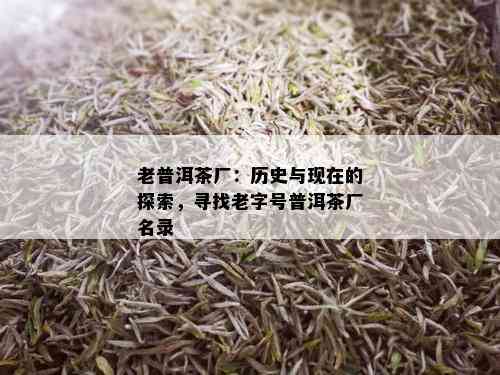 老普洱茶厂：历史与现在的探索，寻找老字号普洱茶厂名录