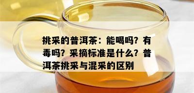 挑采的普洱茶：能喝吗？有吗？采摘标准是什么？普洱茶挑采与混采的区别