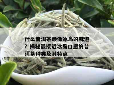 什么普洱茶最像冰岛的味道？揭秘最接近冰岛口感的普洱茶种类及其特点