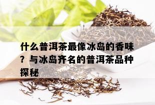 什么普洱茶最像冰岛的香味？与冰岛齐名的普洱茶品种探秘