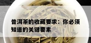 普洱茶的收藏要求：你必须知道的关键要素