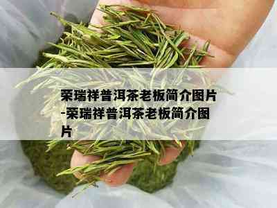 荣瑞祥普洱茶老板简介图片-荣瑞祥普洱茶老板简介图片