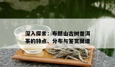 深入探索：布朗山古树普洱茶的特点、分布与鉴赏图谱