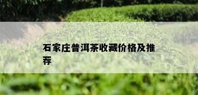 石家庄普洱茶收藏价格及推荐