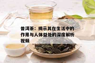 普洱茶：揭示其在生活中的作用与人体益处的深度解析视频