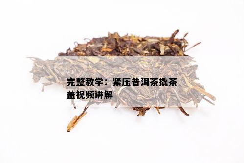 完整教学：紧压普洱茶撬茶盖视频讲解