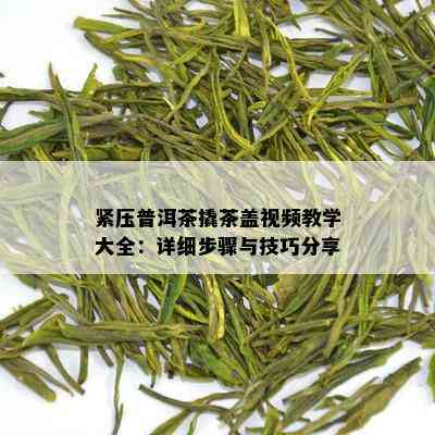 紧压普洱茶撬茶盖视频教学大全：详细步骤与技巧分享