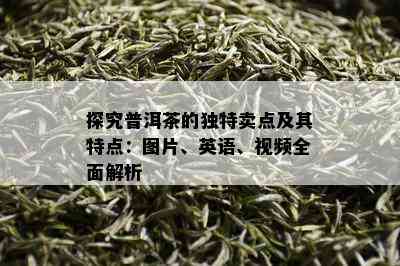 探究普洱茶的独特卖点及其特点：图片、英语、视频全面解析