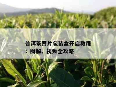 普洱茶薄片包装盒开启教程：图解、视频全攻略