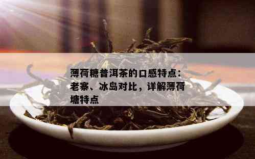 薄荷糖普洱茶的口感特点：老寨、冰岛对比，详解薄荷塘特点