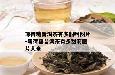 薄荷糖普洱茶有多甜啊图片-薄荷糖普洱茶有多甜啊图片大全