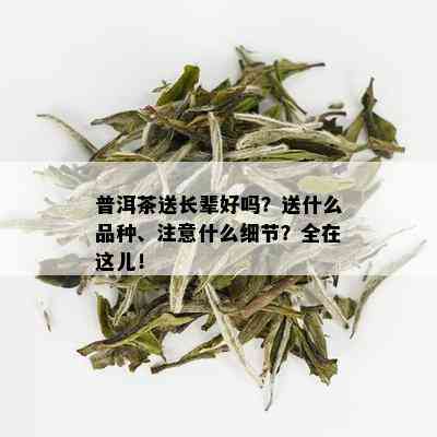 普洱茶送长辈好吗？送什么品种、注意什么细节？全在这儿！