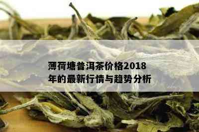 薄荷塘普洱茶价格2018年的最新行情与趋势分析