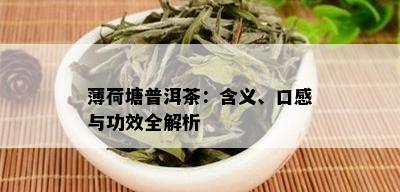 薄荷塘普洱茶：含义、口感与功效全解析