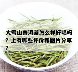 大雪山普洱茶怎么样好喝吗？上有哪些评价和图片分享？