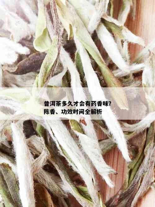 普洱茶多久才会有药香味？陈香、功效时间全解析