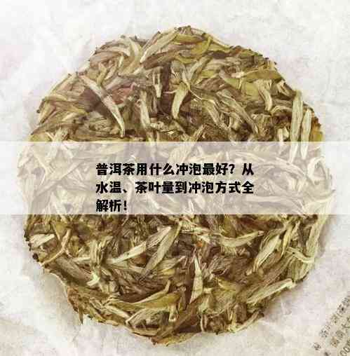 普洱茶用什么冲泡更好？从水温、茶叶量到冲泡方式全解析！