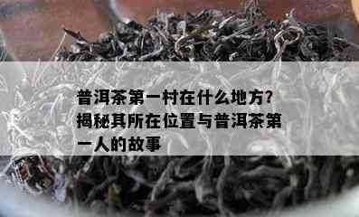 普洱茶之一村在什么地方？揭秘其所在位置与普洱茶之一人的故事