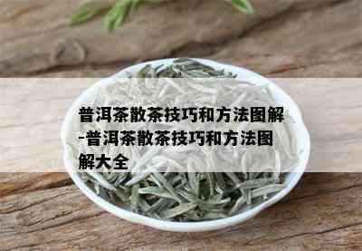 普洱茶散茶技巧和方法图解-普洱茶散茶技巧和方法图解大全