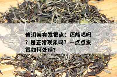 普洱茶有发霉点：还能喝吗？是正常现象吗？一点点发霉如何处理？