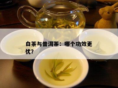 白茶与普洱茶：哪个功效更优？