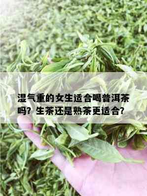 湿气重的女生适合喝普洱茶吗？生茶还是熟茶更适合？