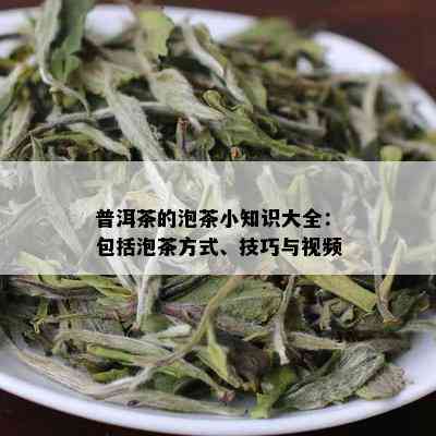 普洱茶的泡茶小知识大全：包括泡茶方式、技巧与视频