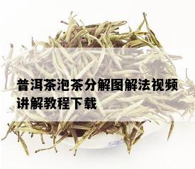 普洱茶泡茶分解图解法视频讲解教程下载