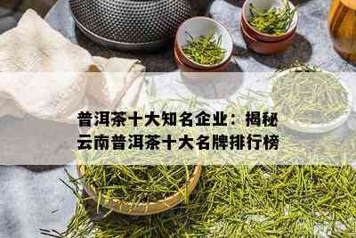 普洱茶十大知名企业：揭秘云南普洱茶十大名牌排行榜