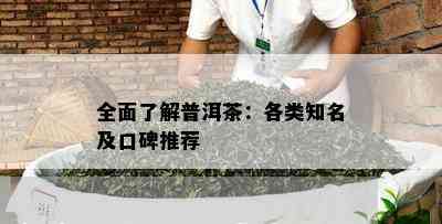 全面了解普洱茶：各类知名及口碑推荐