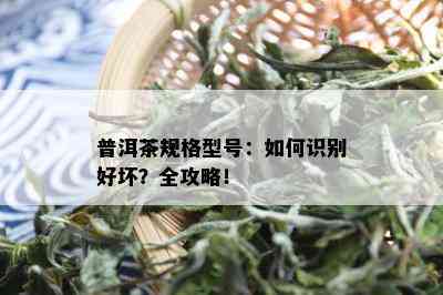 普洱茶规格型号：如何识别好坏？全攻略！