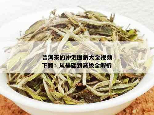 普洱茶的冲泡图解大全视频下载：从基础到高级全解析