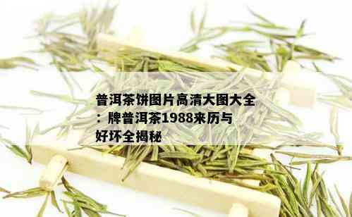 普洱茶饼图片高清大图大全：牌普洱茶1988来历与好坏全揭秘