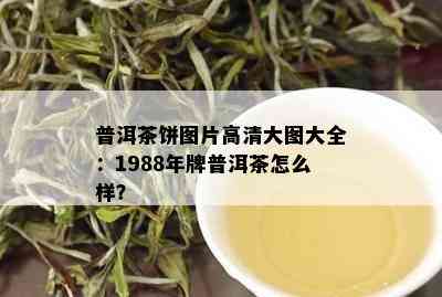 普洱茶饼图片高清大图大全：1988年牌普洱茶怎么样？