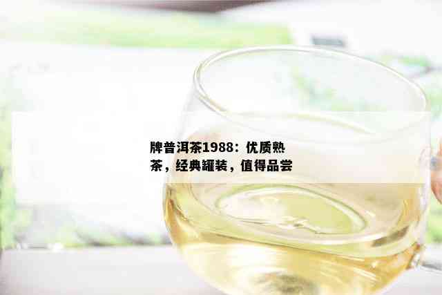 牌普洱茶1988：优质熟茶，经典罐装，值得品尝