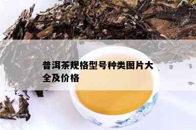 普洱茶规格型号种类图片大全及价格