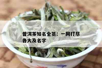 普洱茶知名全览：一网打尽各大及名字