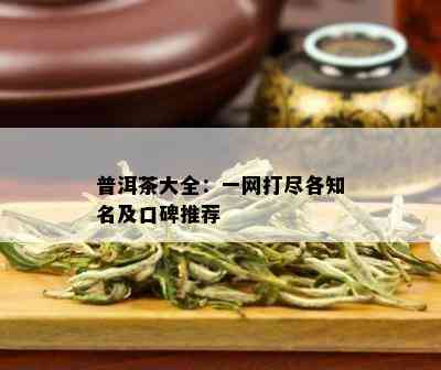 普洱茶大全：一网打尽各知名及口碑推荐