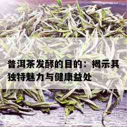 普洱茶发酵的目的：揭示其独特魅力与健康益处