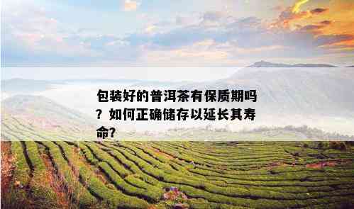 包装好的普洱茶有保质期吗？如何正确储存以延长其寿命？