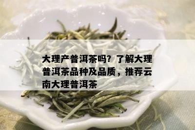 大理产普洱茶吗？了解大理普洱茶品种及品质，推荐云南大理普洱茶