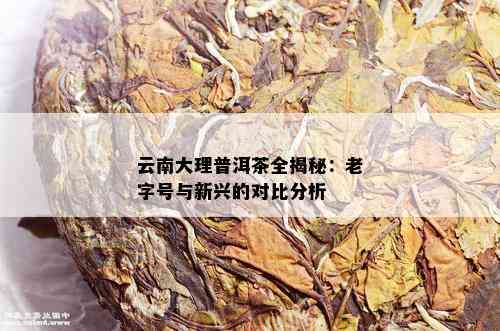 云南大理普洱茶全揭秘：老字号与新兴的对比分析