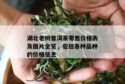 湖北老树普洱茶零售价格表及图片全览，包括各种品种的价格信息