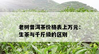 老树普洱茶价格表上万元：生茶与千斤级的区别