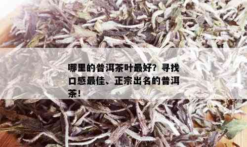 哪里的普洱茶叶更好？寻找口感更佳、正宗出名的普洱茶！