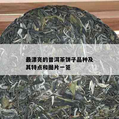 最漂亮的普洱茶饼子品种及其特点和图片一览