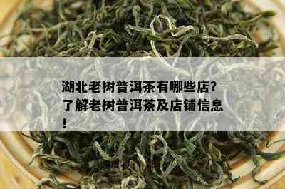 湖北老树普洱茶有哪些店？了解老树普洱茶及店铺信息！