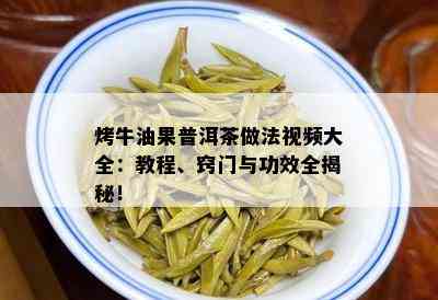 烤牛油果普洱茶做法视频大全：教程、窍门与功效全揭秘！