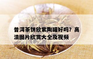 普洱茶饼放紫陶罐好吗？高清图片欣赏大全及视频